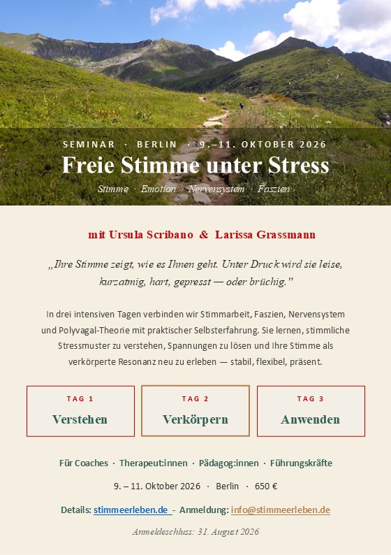 Flyer Freie Stimme unter Stress