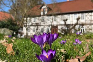 blumen blühen vor der alten stimmungsvollen mühle