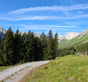 wanderweg durch wiesen oberhalb der weite blaue himmel
